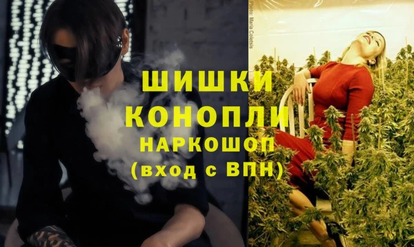 ешки Аркадак