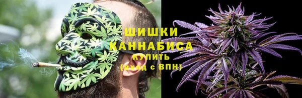 ешки Аркадак