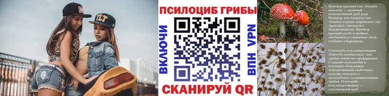 shop состав  Строитель  Галлюциногенные грибы Magic Shrooms 